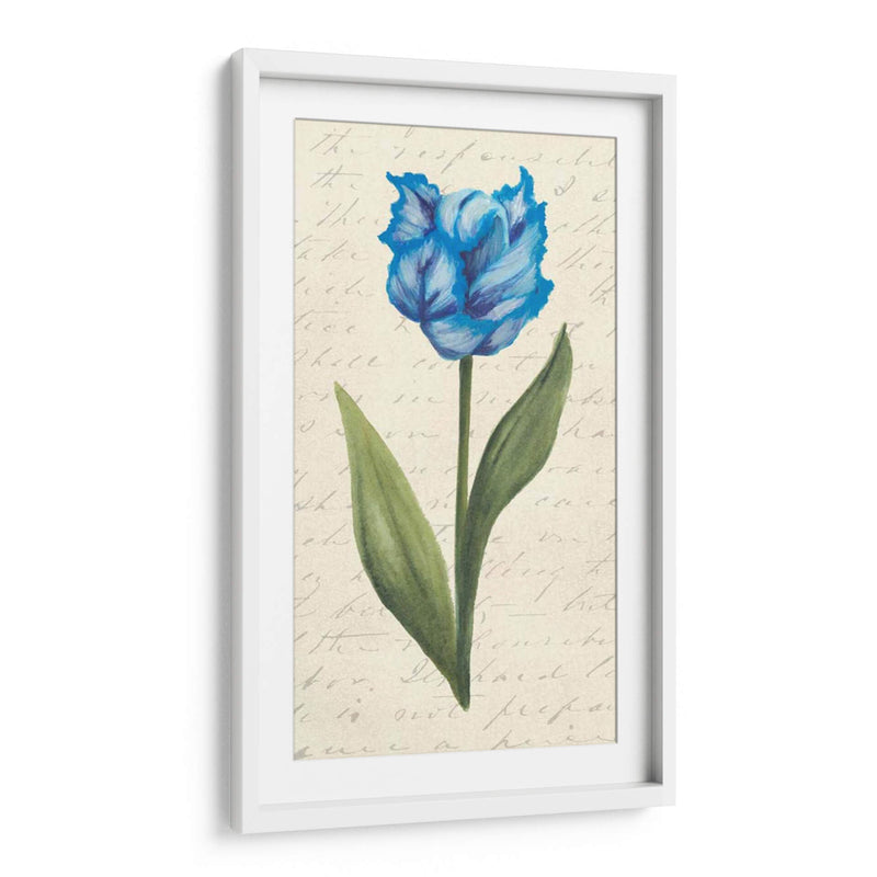 Doble Tulipanes IV - Grace Popp | Cuadro decorativo de Canvas Lab