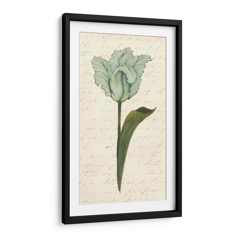 Doble Tulipanes V - Grace Popp | Cuadro decorativo de Canvas Lab