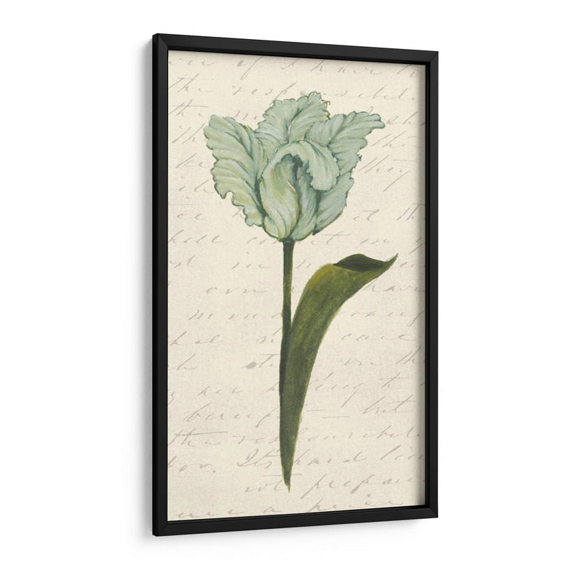 Doble Tulipanes V - Grace Popp | Cuadro decorativo de Canvas Lab