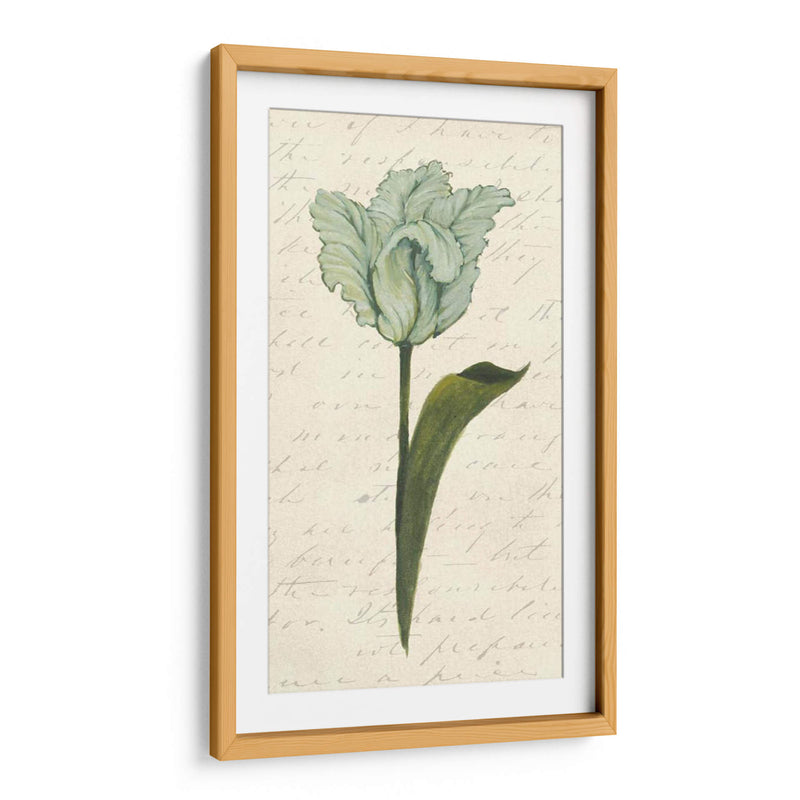 Doble Tulipanes V - Grace Popp | Cuadro decorativo de Canvas Lab