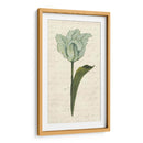 Doble Tulipanes V - Grace Popp | Cuadro decorativo de Canvas Lab