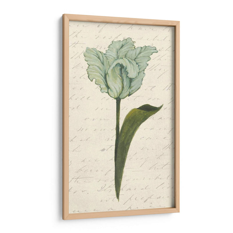 Doble Tulipanes V - Grace Popp | Cuadro decorativo de Canvas Lab