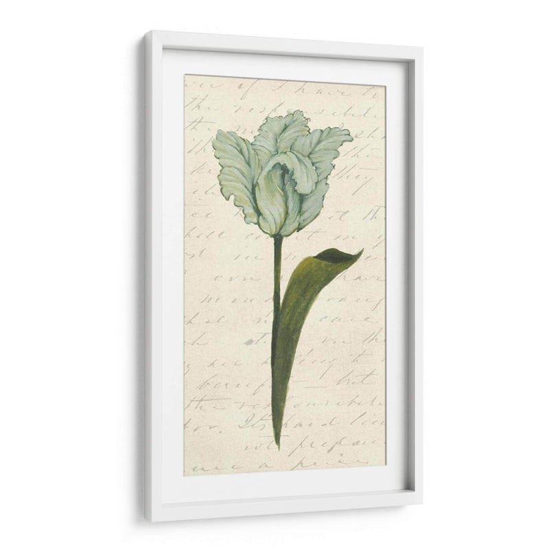 Doble Tulipanes V - Grace Popp | Cuadro decorativo de Canvas Lab