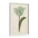 Doble Tulipanes V - Grace Popp | Cuadro decorativo de Canvas Lab