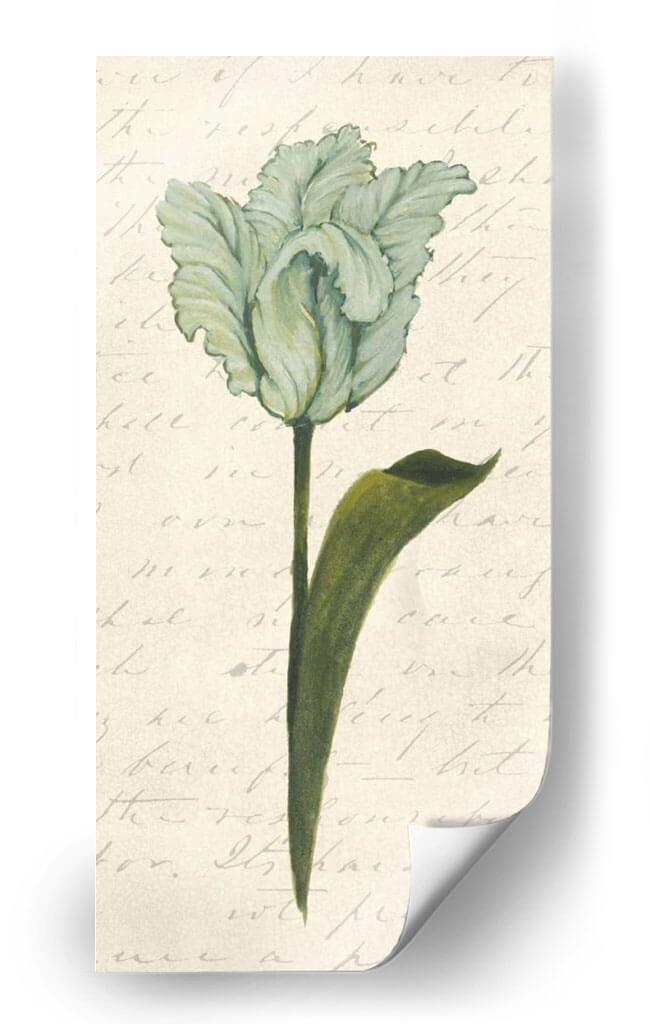 Doble Tulipanes V - Grace Popp | Cuadro decorativo de Canvas Lab