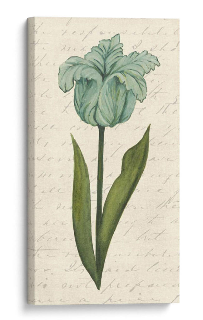 Doble Tulipanes VI - Grace Popp | Cuadro decorativo de Canvas Lab