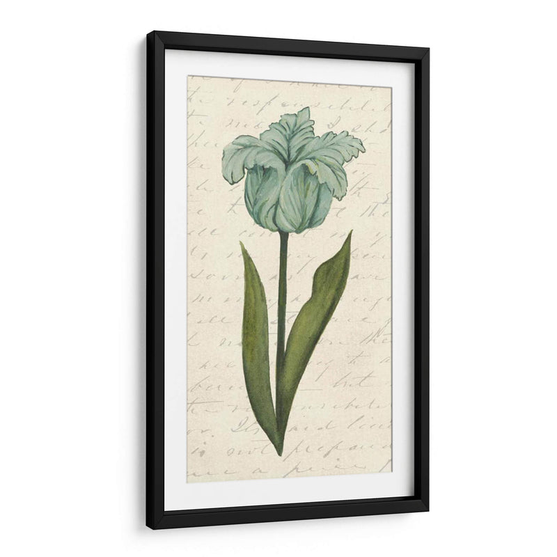 Doble Tulipanes VI - Grace Popp | Cuadro decorativo de Canvas Lab