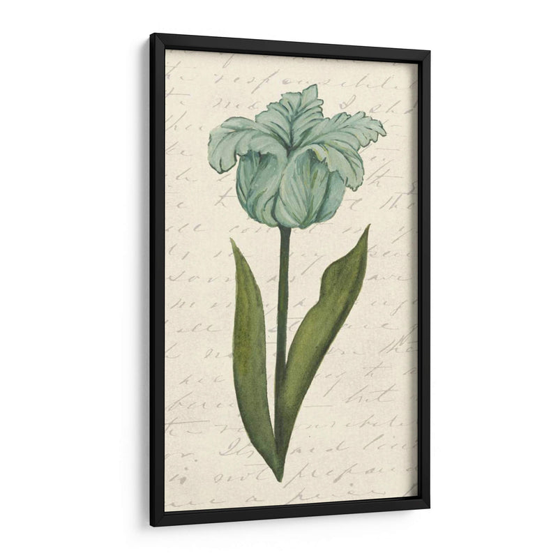 Doble Tulipanes VI - Grace Popp | Cuadro decorativo de Canvas Lab