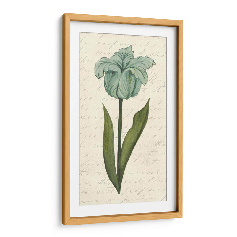 Doble Tulipanes VI - Grace Popp | Cuadro decorativo de Canvas Lab