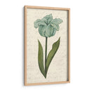 Doble Tulipanes VI - Grace Popp | Cuadro decorativo de Canvas Lab