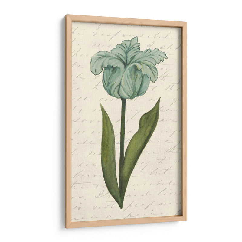 Doble Tulipanes VI - Grace Popp | Cuadro decorativo de Canvas Lab