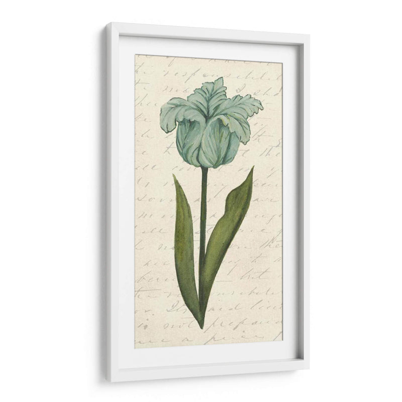 Doble Tulipanes VI - Grace Popp | Cuadro decorativo de Canvas Lab