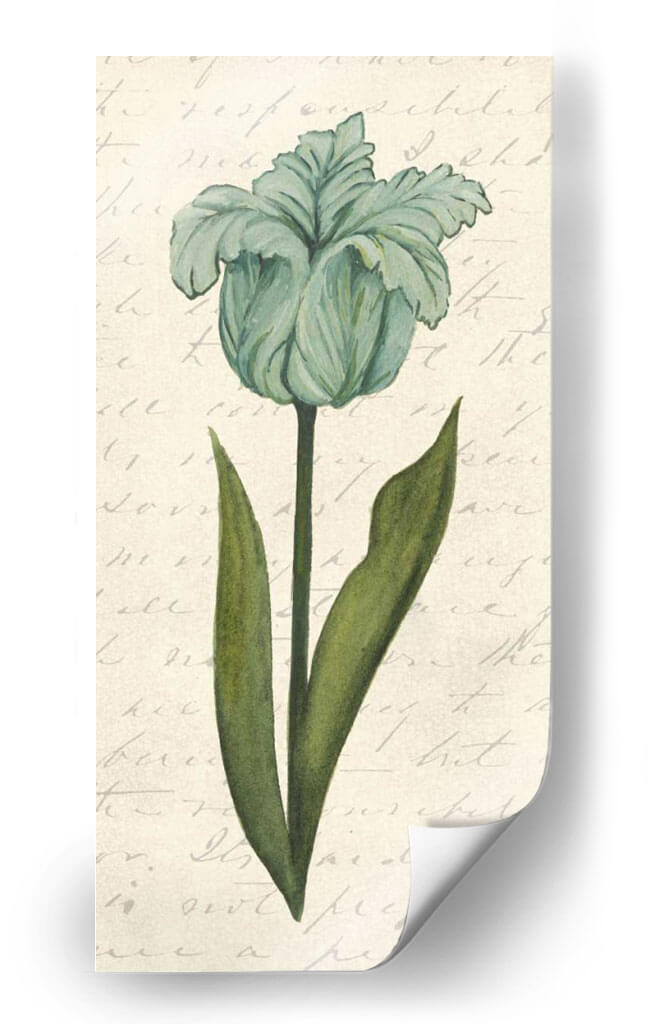 Doble Tulipanes VI - Grace Popp | Cuadro decorativo de Canvas Lab