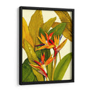 Ave Del Paraíso Tropical - Tim OToole | Cuadro decorativo de Canvas Lab