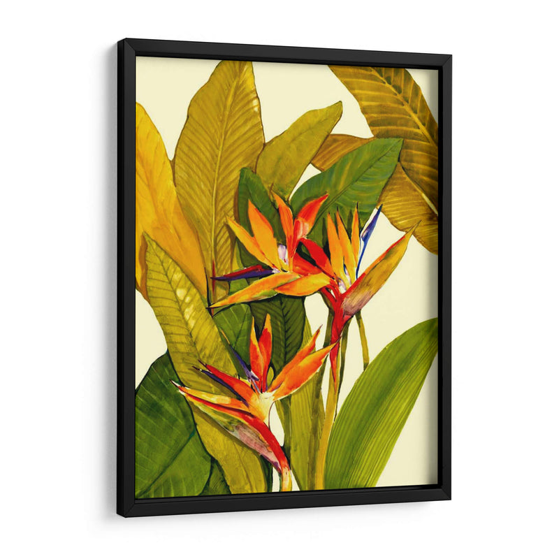 Ave Del Paraíso Tropical - Tim OToole | Cuadro decorativo de Canvas Lab