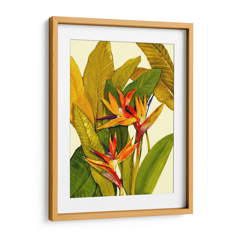 Ave Del Paraíso Tropical - Tim OToole | Cuadro decorativo de Canvas Lab