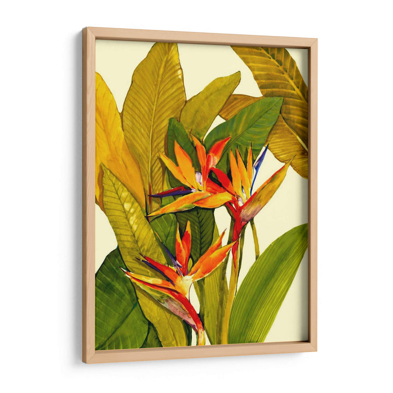 Ave Del Paraíso Tropical - Tim OToole | Cuadro decorativo de Canvas Lab