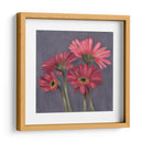 Gerber Sobre El Grey I - Jade Reynolds | Cuadro decorativo de Canvas Lab