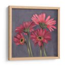 Gerber Sobre El Grey I - Jade Reynolds | Cuadro decorativo de Canvas Lab