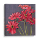 Gerber En Grey II - Jade Reynolds | Cuadro decorativo de Canvas Lab