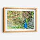 El pavorreal | Cuadro decorativo de Canvas Lab