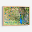 El pavorreal | Cuadro decorativo de Canvas Lab