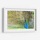 El pavorreal | Cuadro decorativo de Canvas Lab