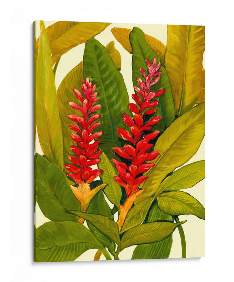 Tropical Ginger Red - Tim OToole | Cuadro decorativo de Canvas Lab