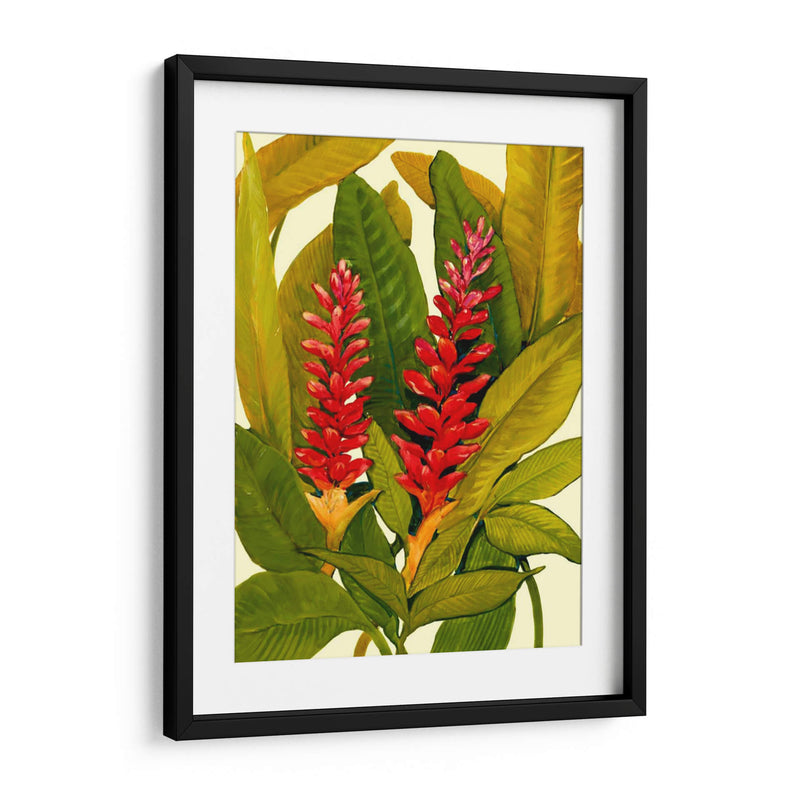 Tropical Ginger Red - Tim OToole | Cuadro decorativo de Canvas Lab