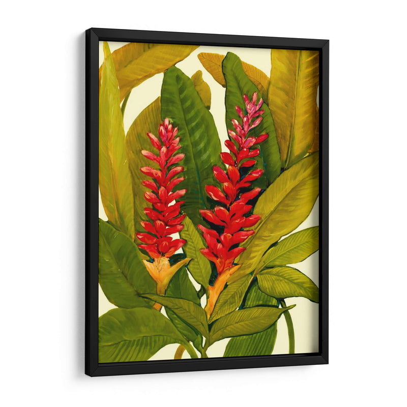 Tropical Ginger Red - Tim OToole | Cuadro decorativo de Canvas Lab