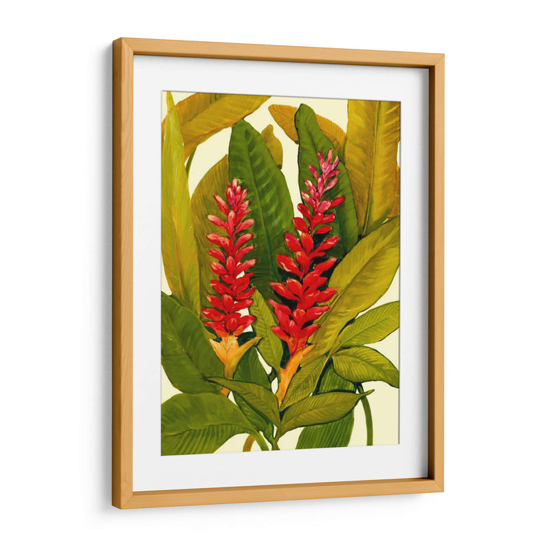 Tropical Ginger Red - Tim OToole | Cuadro decorativo de Canvas Lab