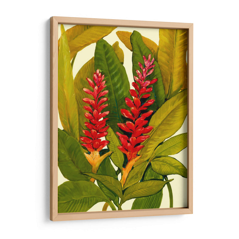 Tropical Ginger Red - Tim OToole | Cuadro decorativo de Canvas Lab