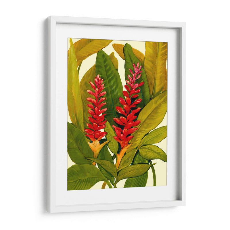 Tropical Ginger Red - Tim OToole | Cuadro decorativo de Canvas Lab