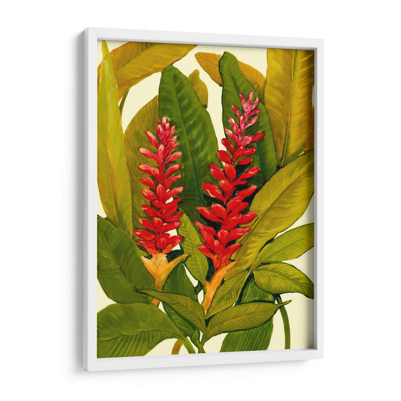 Tropical Ginger Red - Tim OToole | Cuadro decorativo de Canvas Lab