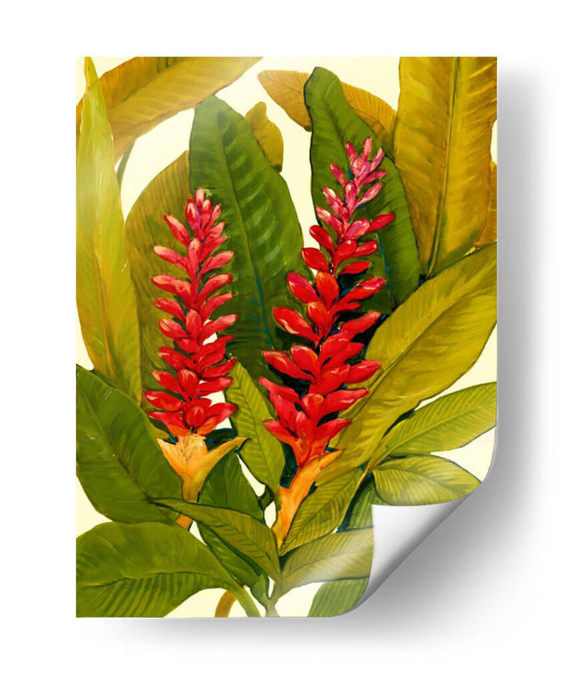 Tropical Ginger Red - Tim OToole | Cuadro decorativo de Canvas Lab