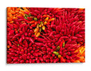 Plenitud de chiles | Cuadro decorativo de Canvas Lab