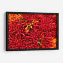 Plenitud de chiles | Cuadro decorativo de Canvas Lab