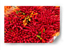 Plenitud de chiles | Cuadro decorativo de Canvas Lab