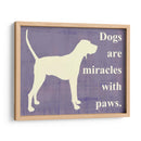 Los Perros Son Milagros Con Las Patas - Vision Studio | Cuadro decorativo de Canvas Lab
