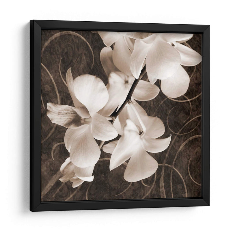 Orquídea Y Remolinos I - Christine Zalewski | Cuadro decorativo de Canvas Lab