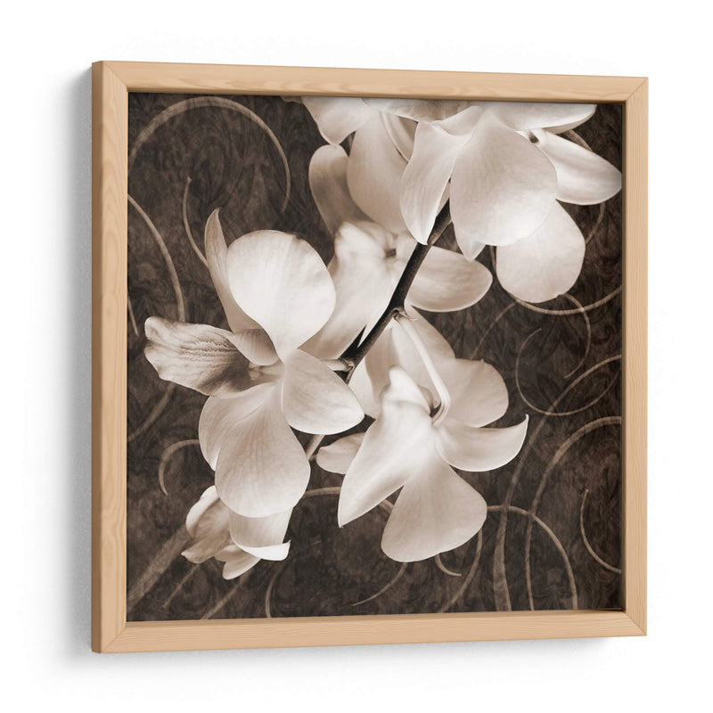 Orquídea Y Remolinos I - Christine Zalewski | Cuadro decorativo de Canvas Lab