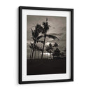 Palmas En La Noche Me - Tang Ling | Cuadro decorativo de Canvas Lab