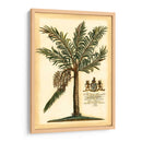 British Colonial Palma II - Vision Studio | Cuadro decorativo de Canvas Lab