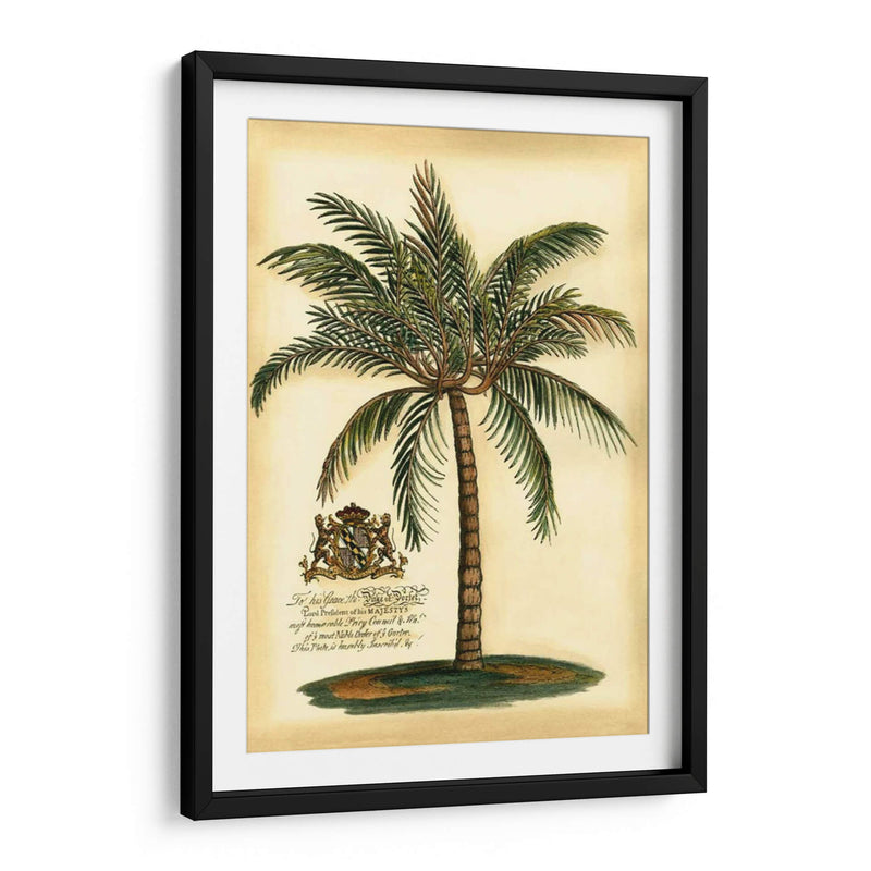 British Colonial Palm III - Vision Studio | Cuadro decorativo de Canvas Lab