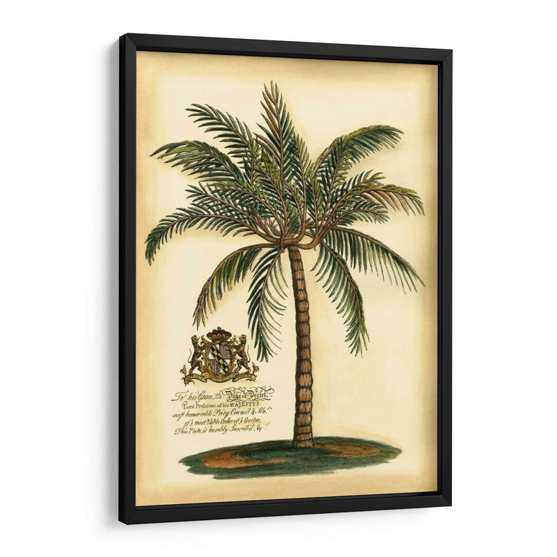 British Colonial Palm III - Vision Studio | Cuadro decorativo de Canvas Lab