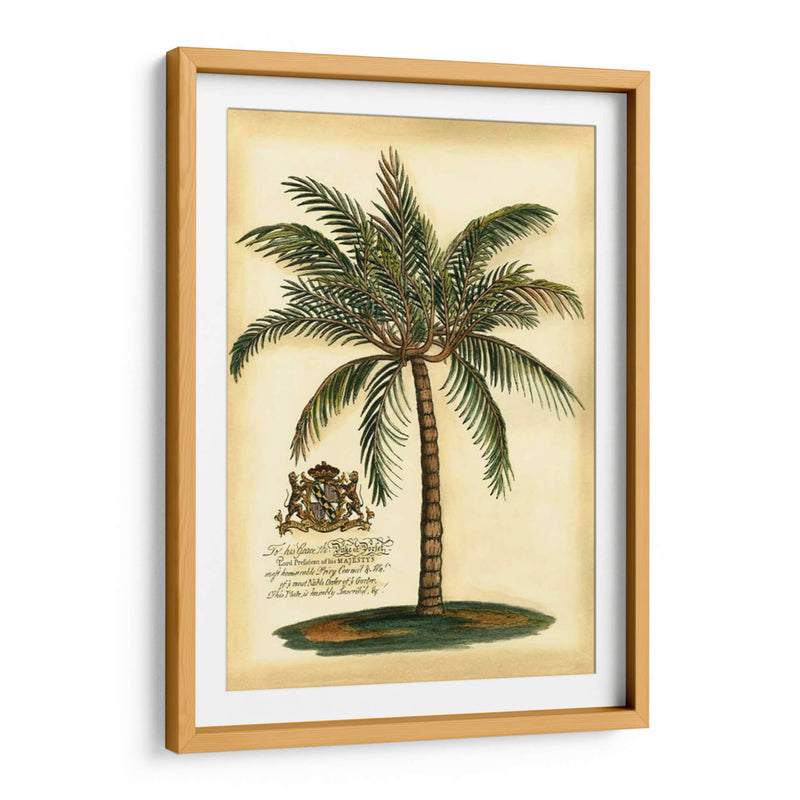 British Colonial Palm III - Vision Studio | Cuadro decorativo de Canvas Lab