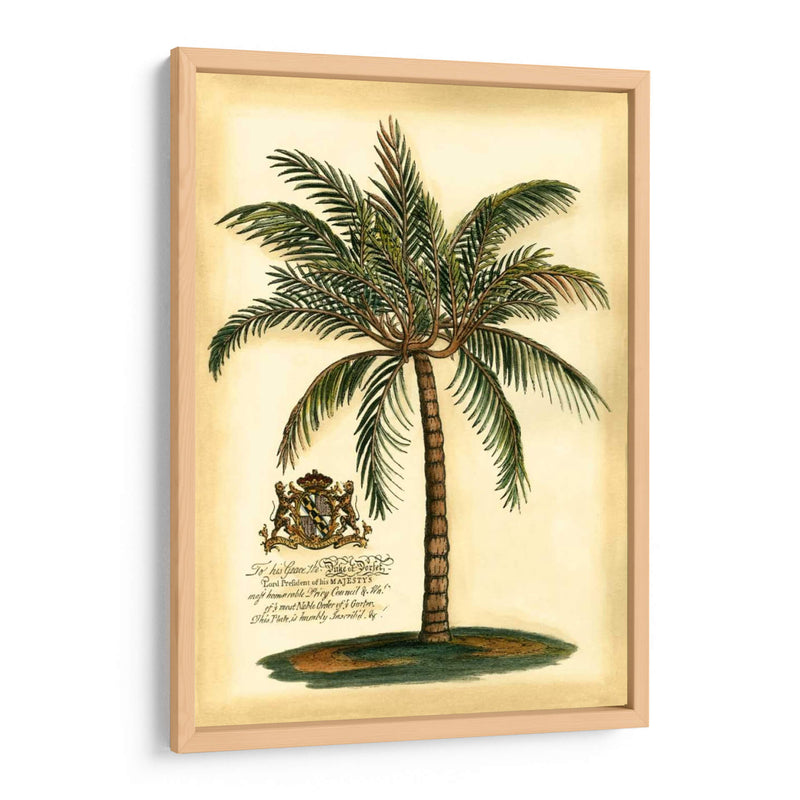 British Colonial Palm III - Vision Studio | Cuadro decorativo de Canvas Lab