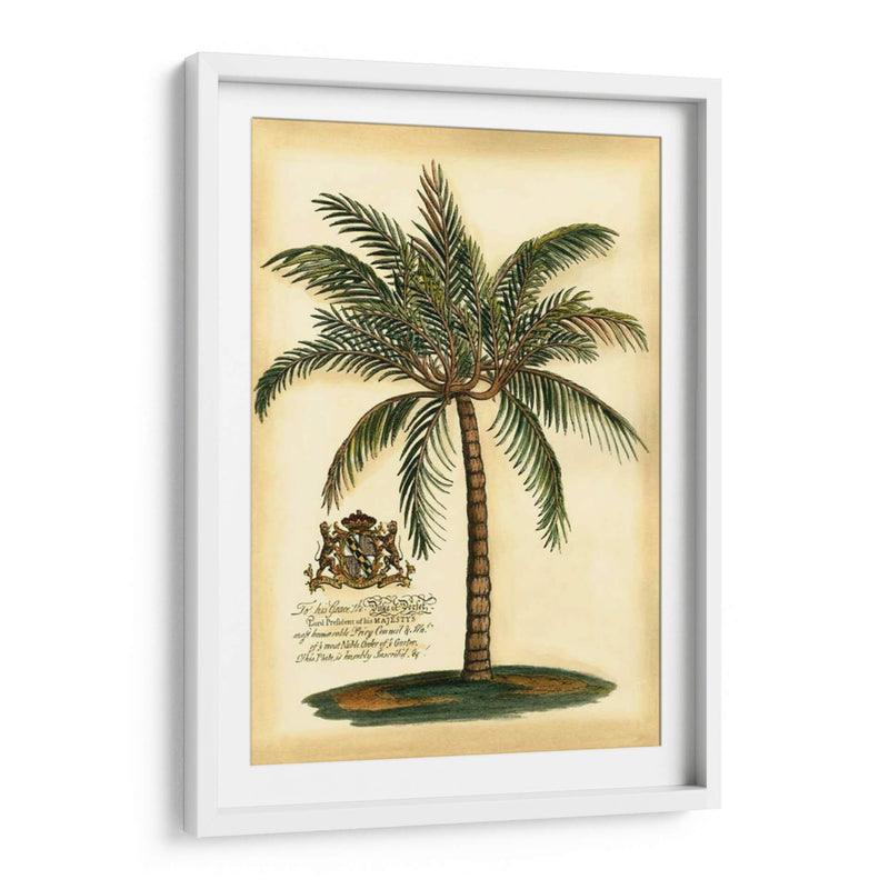 British Colonial Palm III - Vision Studio | Cuadro decorativo de Canvas Lab