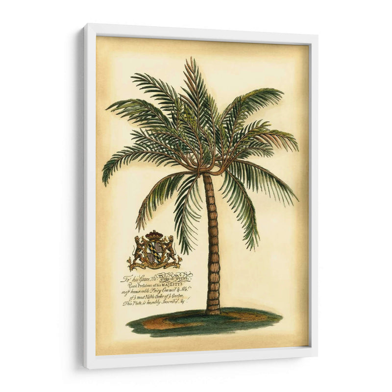 British Colonial Palm III - Vision Studio | Cuadro decorativo de Canvas Lab