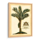 British Colonial Palma IV - Vision Studio | Cuadro decorativo de Canvas Lab